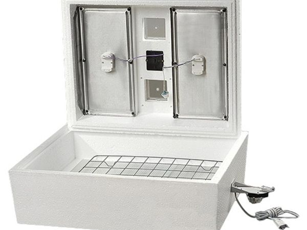 Готовь сани с лета, а инкубаторы для яиц осенью